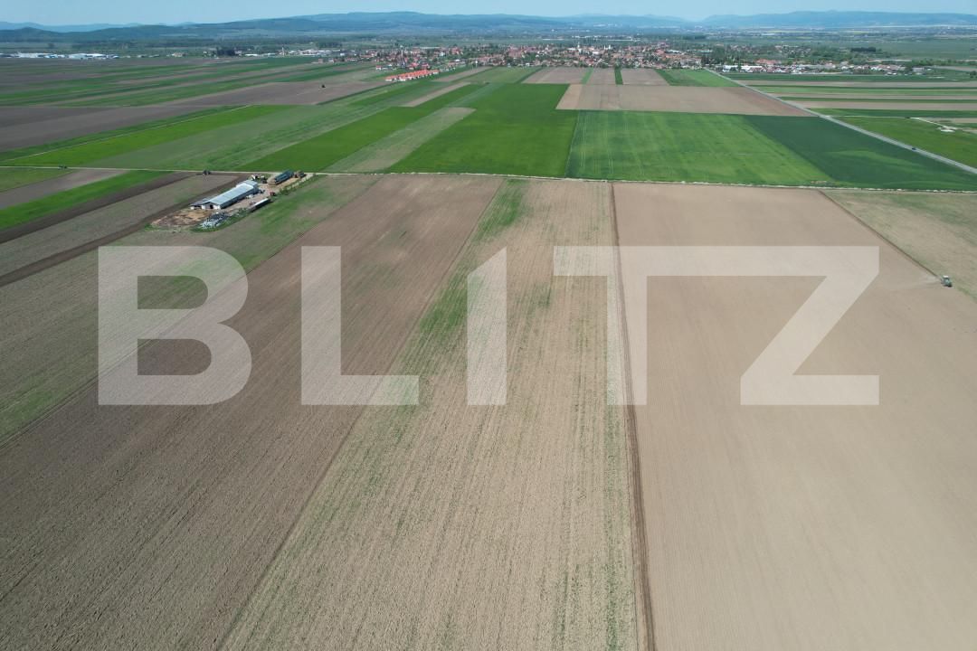 Teren de vânzare Exterior Vest - 140740TV | BLITZ Brașov | Poza10