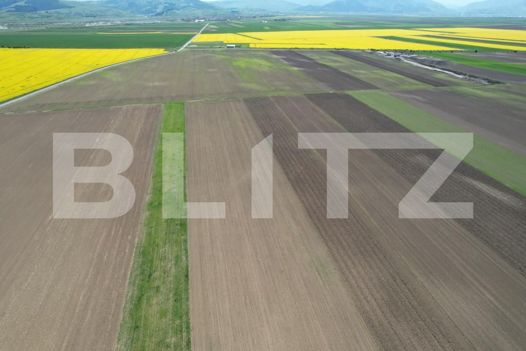 Teren de vânzare Exterior Vest - 140740TV | BLITZ Brașov | Poza11