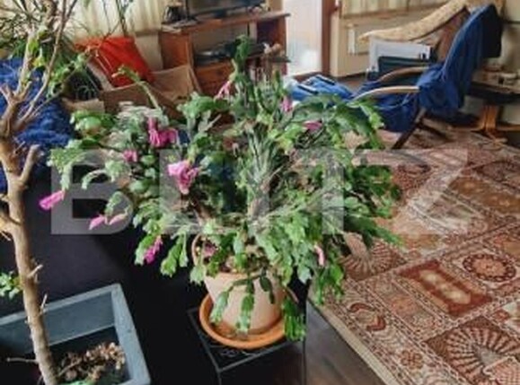 Apartament de vânzare 2 camere Floreşti - 140760AV | BLITZ Cluj-Napoca | Poza8