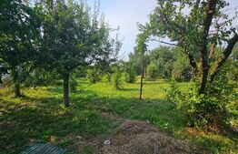 Casa finisata, 3 camere, 137mp, garaj, teren 1472 mp, in Apahida