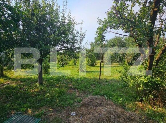 Casa de vânzare 3 camere Apahida - 140774CV | BLITZ Cluj-Napoca | Poza15