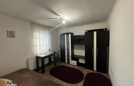 Garsoniera 21 mp, zona strazii Migdalului , cartierul Gruia 