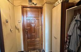 Garsoniera 28 mp, etaj intermediar, Zona Brancusi 