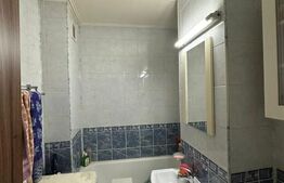 Garsoniera 28 mp, etaj intermediar, Zona Brancusi 