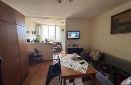 Garsoniera 28 mp, etaj intermediar, Zona Brancusi 