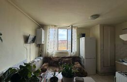 Garsoniera 28 mp, etaj intermediar, Zona Brancusi 