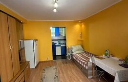 Garsoniera 22 mp, zona Dambul Rotund 