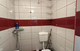 Garsoniera 22 mp, zona Dambul Rotund 