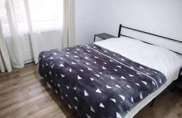 Investitie la cheie, 35 mp, zona Centrala 