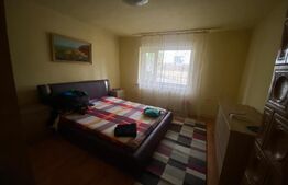 Casă individuală 5 camere, 206 mp, curte 647 mp, situată în Suceagu