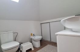 Casa 4 camere, 169mp, zona Marasti