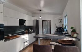 Casa 4 camere, 169mp, zona Marasti