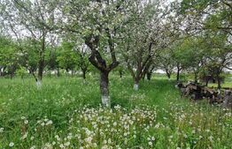  Casa de 142 mp si teren de 1500 cu o priveliste spectaculoasa