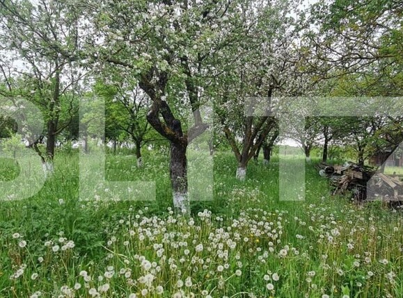 Casa de vânzare 4 camere Exterior Nord - 140812CV | BLITZ Cluj-Napoca | Poza4