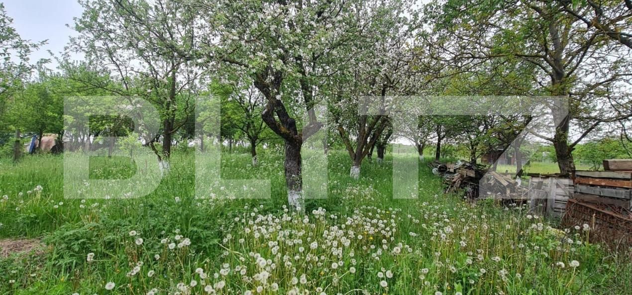 Casa de vânzare 4 camere Exterior Nord - 140812CV | BLITZ Cluj-Napoca | Poza4