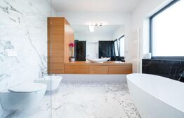 Casa individuala de lux in Faget cu teren de 930 mp