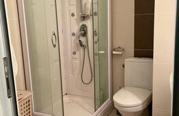 Apartament 1 camera , 25 mp , zona Centrala 