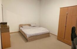 Apartament 1 camera , 25 mp , zona Centrala 