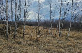 Teren intravilan Dealu Negru 1200mp