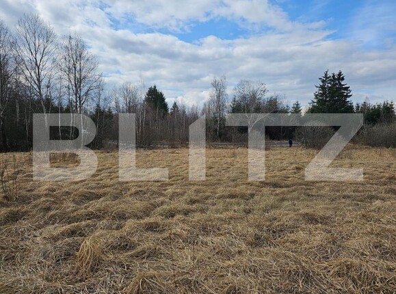 Teren de vânzare Beliș - 140862TV | BLITZ Cluj-Napoca | Poza2