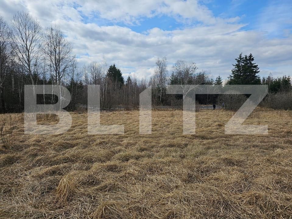 Teren de vânzare Beliș - 140862TV | BLITZ Cluj-Napoca | Poza2