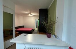 Apartament 1 camera , finisata , mobilata , Iulius Mall 