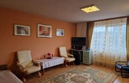 Apartament 1 camera, 36mp, zona Petrom - BACIU