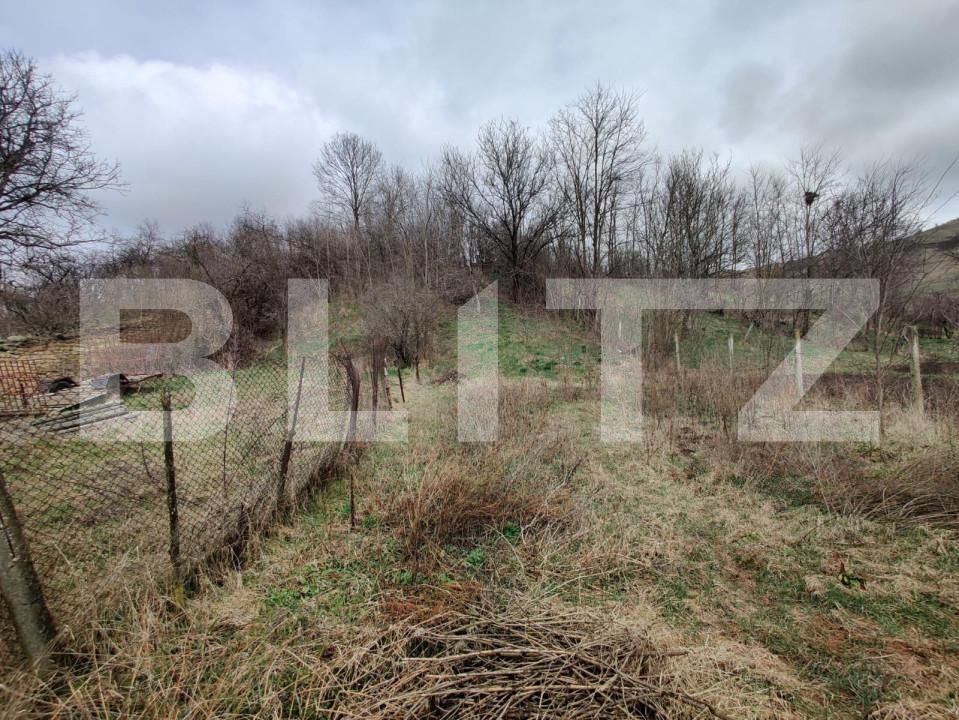 Casa de vânzare 3 camere Exterior Vest - 140885CV | BLITZ Cluj-Napoca | Poza7