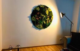 Vrei sa locuiesti intr-un apartament de lux, prima inchiriere? Avem oferta ideala!