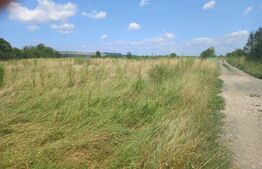 Investitie ! Teren intravilan in Sopor, 2500 mp , front 36 m !