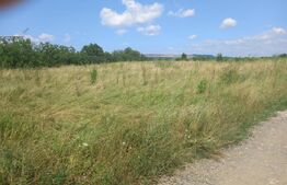 Investitie ! Teren intravilan in Sopor, 2500 mp , front 36 m !