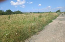 Investitie ! Teren intravilan in Sopor, 2500 mp , front 36 m !