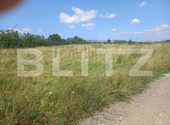 Teren de vânzare Sopor - 140903TV | BLITZ Cluj-Napoca | Poza5
