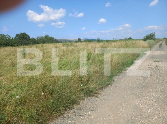 Teren de vânzare Sopor - 140903TV | BLITZ Cluj-Napoca | Poza3