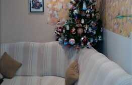 2 camere, 30 mp utili, mobilat, zona strazii Alverna