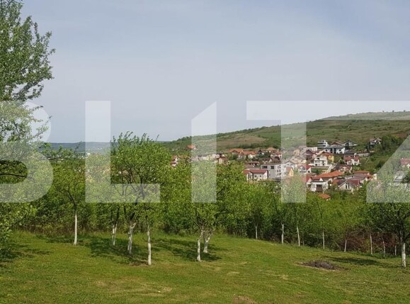 Casa de vânzare 4 camere Borhanci - 141007CV | BLITZ Cluj-Napoca | Poza6