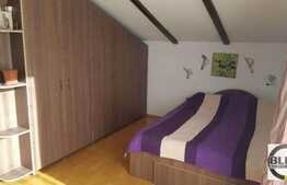 Vanzare mansarda cu 2 camere, 50 mp, TERASA de 32 mp, A.C! Zona Eroilor!