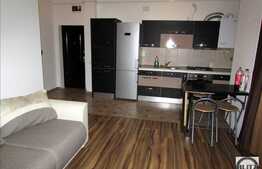 2 camere, 45 mp, parcare, mobilat modern, terasa 60 mp , strada Muresului