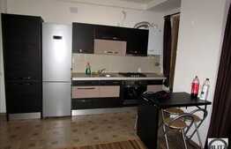 2 camere, 45 mp, parcare, mobilat modern, terasa 60 mp , strada Muresului