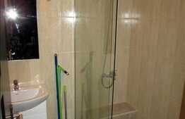 2 camere, 45 mp, parcare, mobilat modern, terasa 60 mp , strada Muresului