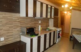 Apartament 1 camera, 45 mp, decomandat, imobil pe tip casa, zona Autogarii