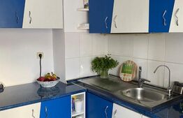 Apartament cu 1 camera, 40 mp, zona Mehedinti