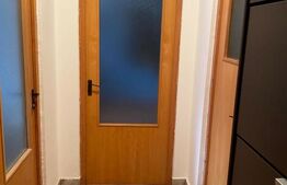 Apartament cu 1 camera, 40 mp, zona Mehedinti