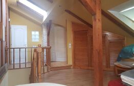 Casa 378 mp 1256 mp teren Pretabil Booking, inchiriere, Airbnb 