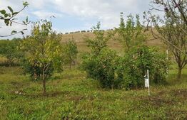  Oportunitate! Investiție! Casă finisata, 4 camere, complet utilata, 100mp, 1400 mp teren, comuna JUCU (Gădălin)