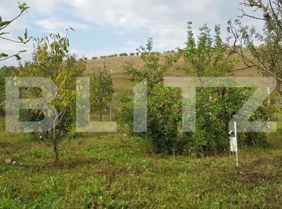 Casa de vânzare 4 camere Exterior Est - 141173CV | BLITZ Cluj-Napoca | Poza4