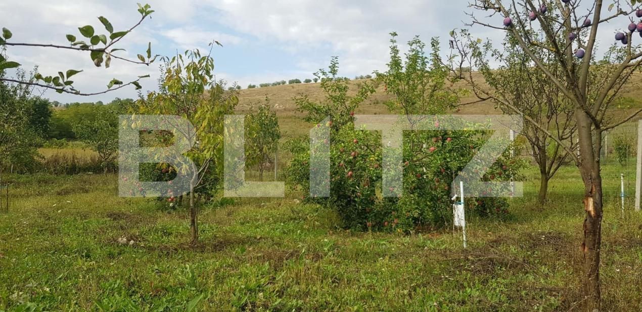 Casa de vânzare 4 camere Exterior Est - 141173CV | BLITZ Cluj-Napoca | Poza4