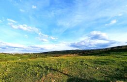 Teren cu suprafata de 2445 mp, PUZ in lucru, zona de case, Borhanci