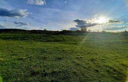 Teren cu suprafata de 2445 mp, PUZ in lucru, zona de case, Borhanci