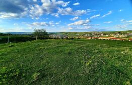 Teren cu suprafata de 800 mp, PUZ in lucru, zona de case, Borhanci